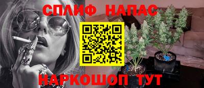 спиды Шебекино