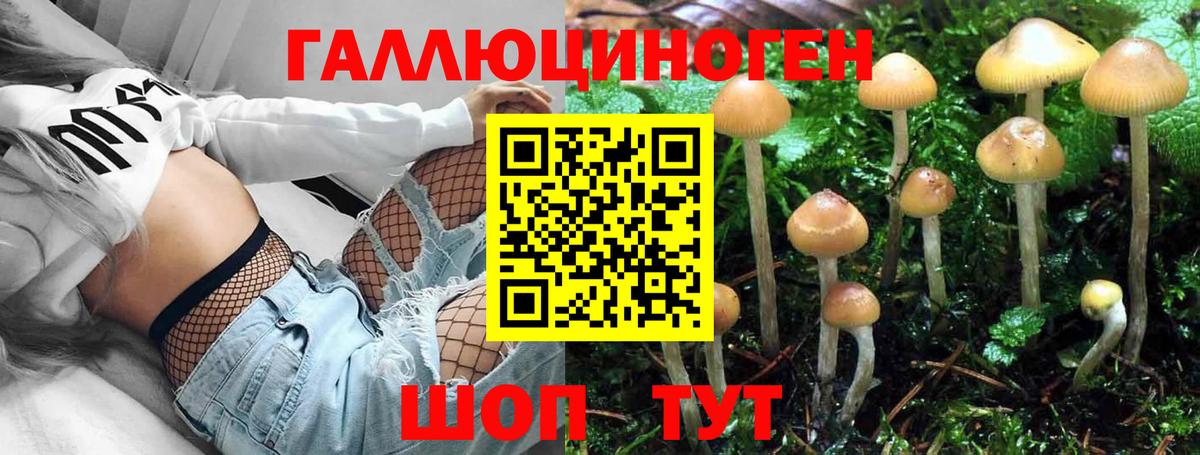 Галлюциногенные грибы мухоморы  Вход с VPN  Архангельск 